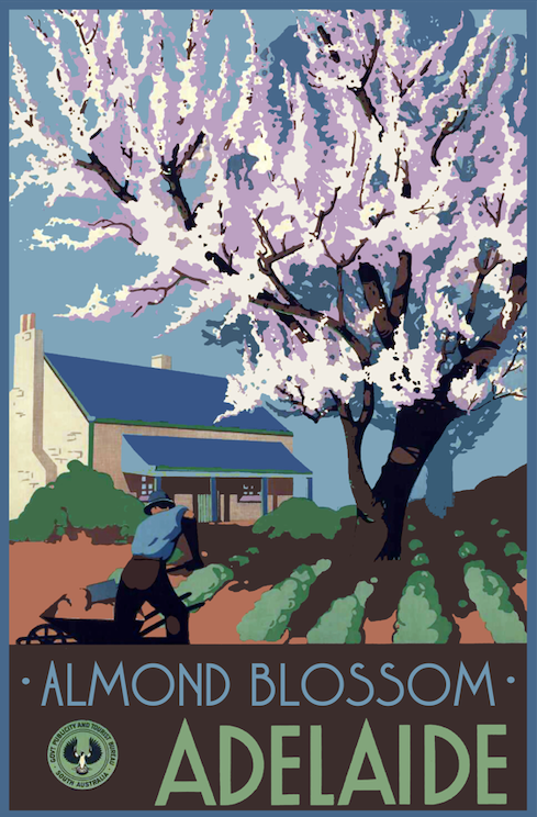 Adelaide Almond Blossoms