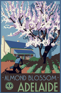 Adelaide Almond Blossoms